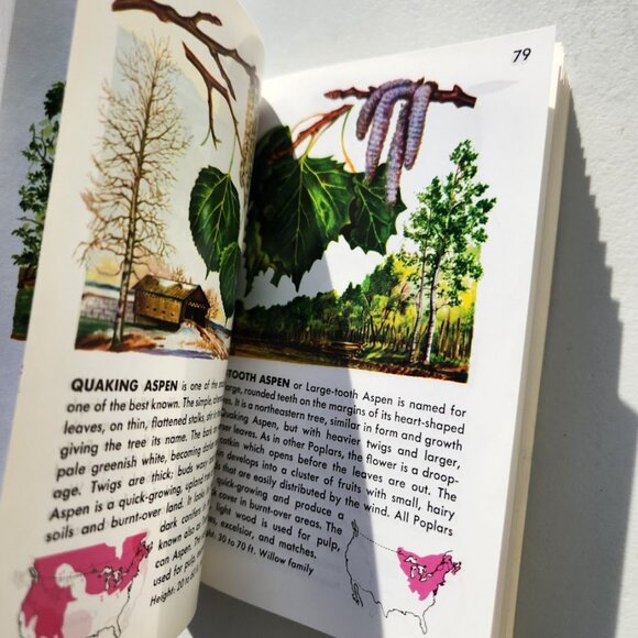 Trees Field Guide Plants botany Golden Guides St. Martin's Press BOOKSHARK - Picture 10 of 14